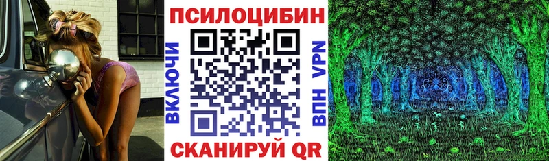 Галлюциногенные грибы Cubensis цены Урень